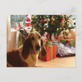 Basset hound Kerstmis Briefkaart (Voorkant)