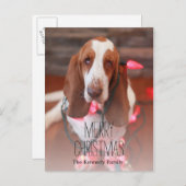 Basset Hound, Kerstmis, kerstverlichting Feestdagenkaart (Voorkant / Achterkant)