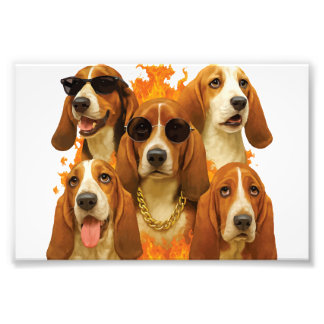 Basset Hound Kopie Foto Afdruk