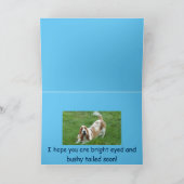 Basset Hound krijgt een goede kaart. Kaart (Binnen)