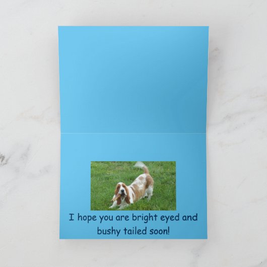 Basset Hound krijgt een goede kaart. Kaart (Binnen)