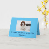 Basset Hound krijgt een goede kaart. Kaart (Gele Bloem)