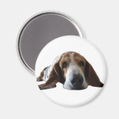 Basset Hound liggen Magneet (Voorkant / Achterkant)