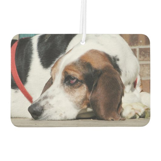 Basset Hound Luchtverfrisser (Achterkant)
