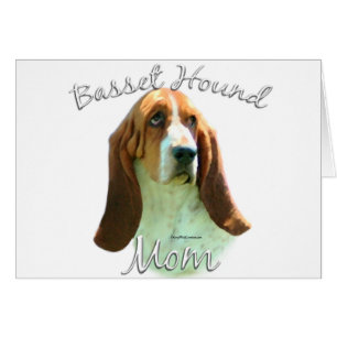 Basset Hound Ma 2