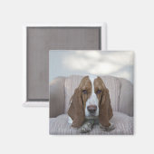 Basset Hound Magneet (Voorkant / Achterkant)