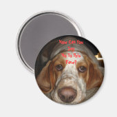 Basset Hound Magnet (Voorkant / Achterkant)