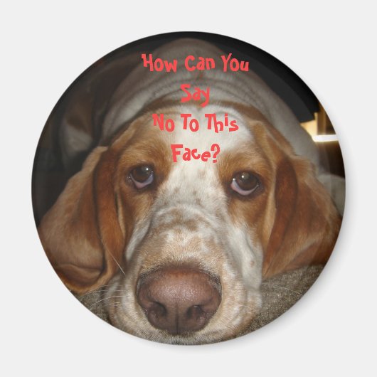 Basset Hound Magnet (Voorkant)