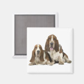 Basset Hound magnet (Voorkant / Achterkant)