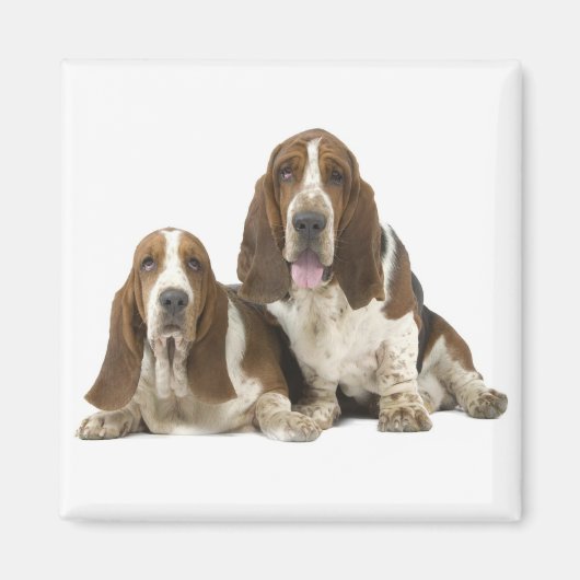 Basset Hound magnet (Voorkant)