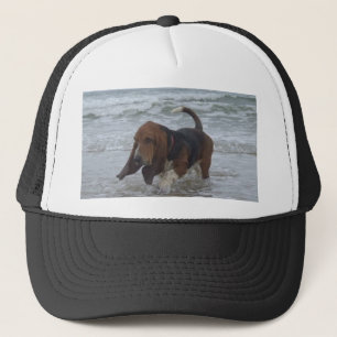Basset Hound Met Hoed Bij De Zee Trucker Pet