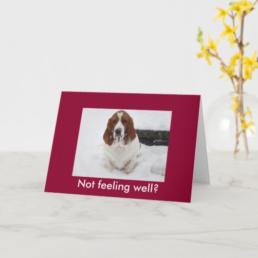 Basset Hound met verdrietig gezicht krijgt grappig Kaart (Gele Bloem)
