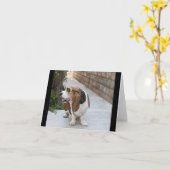 Basset Hound met zonnebril Kaart (Gele Bloem)