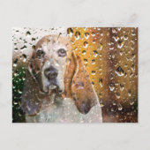 Basset Hound Miss U Briefkaart (Voorkant)