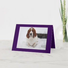 Basset Hound mist je wenskaart. Kaart