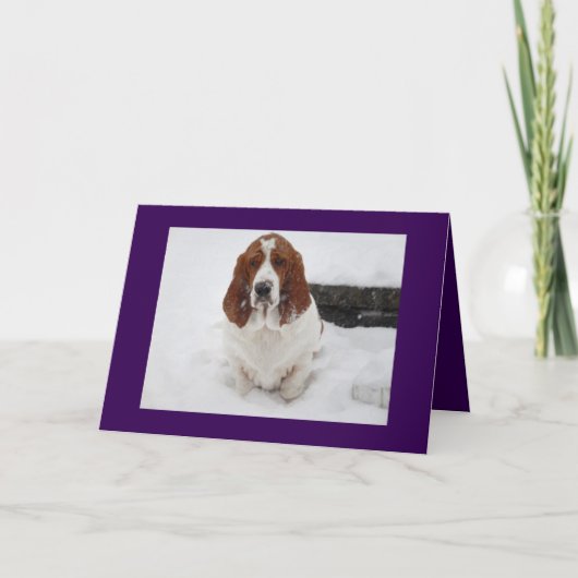 Basset Hound mist je wenskaart. Kaart (Voorkant)