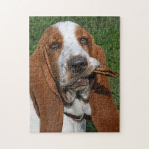 Basset Hound Morning Chew Legpuzzel