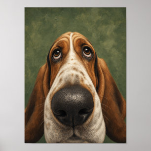 Basset Hound Muurkunst — Grappige Grote Neus Close Poster