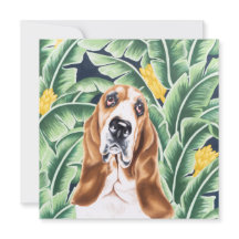 Basset Hound