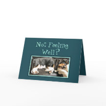 Basset Hound on Grapny "Get Well" Card