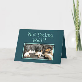 Basset Hound on Grapny "Get Well" Card Kaart