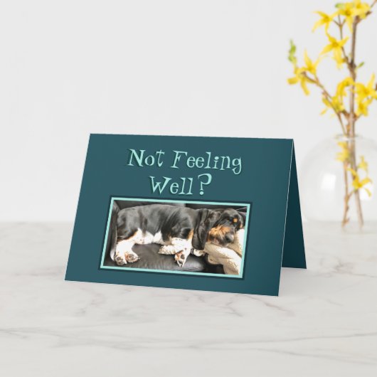 Basset Hound on Grapny "Get Well" Card Kaart (Gele Bloem)