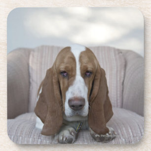 Basset Hound Onderzetter