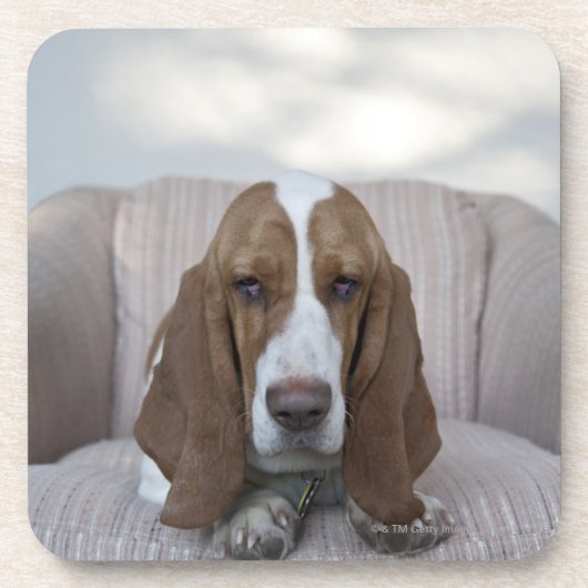 Basset Hound Onderzetter (Voorkant)