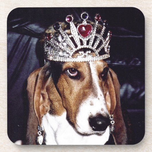 Basset Hound Onderzetter Set van 6 (Voorkant)