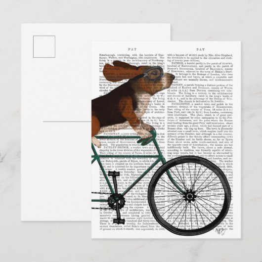 Basset Hound op fiets Briefkaart (Voorkant / Achterkant)