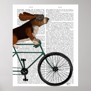 Basset Hound op fiets Poster