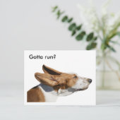 Basset hound oren flappen in wind huisdier sitter briefkaart (Staand voorkant)