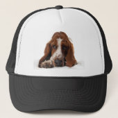 Basset Hound Pet (Voorkant)