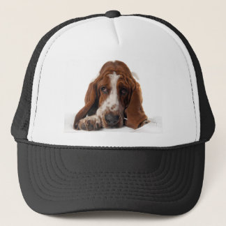 Basset Hound Pet