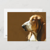 Basset Hound Photo Briefkaart (Voorkant / Achterkant)