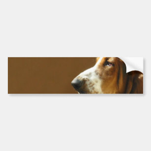 Basset Hound Photo Bumpersticker