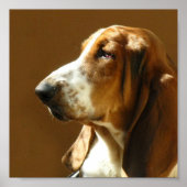 Basset Hound Photo Print (Voorkant)