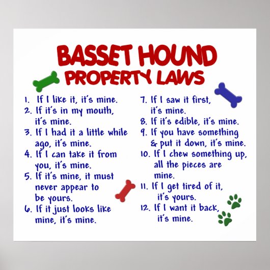 BASSET HOUND PL2 POSTER (Voorkant)