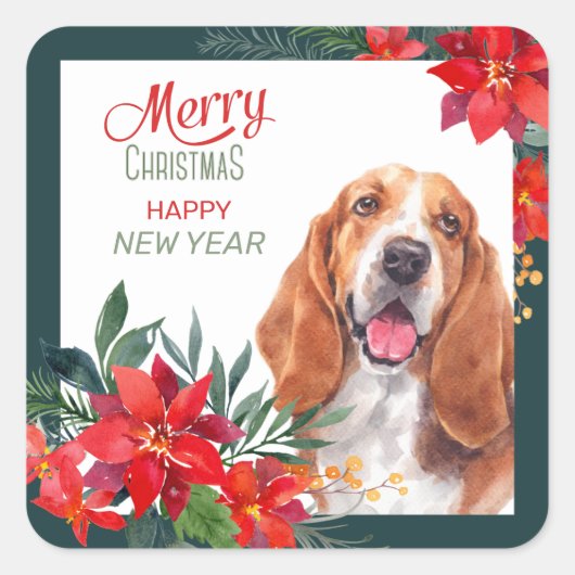 Basset Hound Poinsettia Border Kerstmis Vierkante Sticker (Voorkant)