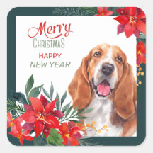 Basset Hound Poinsettia Border Kerstmis