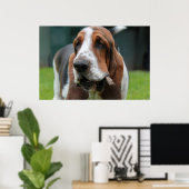 Basset Hound Poster (Thuiskantoor)