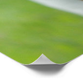 Basset Hound Poster (Hoek)