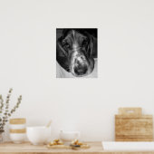 Basset Hound Poster (Keuken)