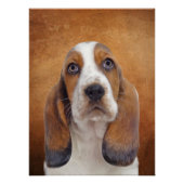 Basset Hound Poster (Voorkant)