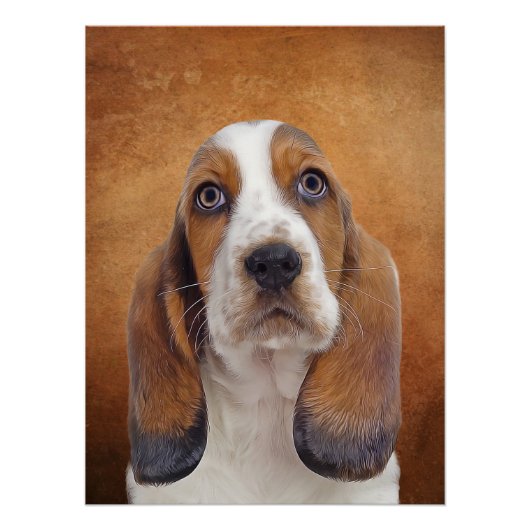 Basset Hound Poster (Voorkant)