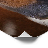 Basset Hound Poster (Hoek)