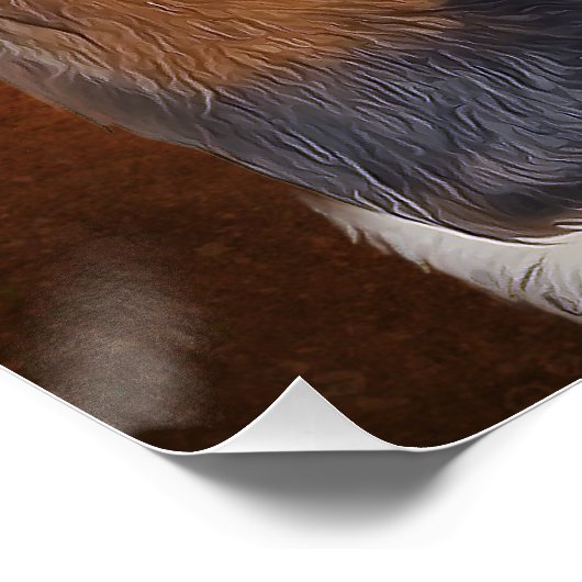 Basset Hound Poster (Hoek)