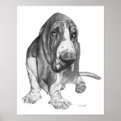 Basset Hound Poster (Voorkant)