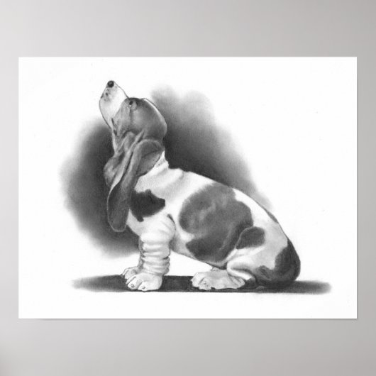 BASSET HOUND POSTER: PENCIL REALISM ART POSTER (Voorkant)