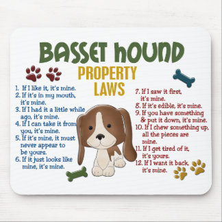 Basset Hound Property Laws 4 Muismat